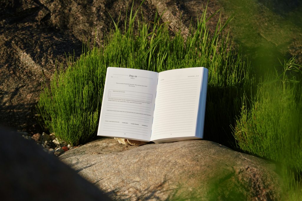 An open book sitting on top of a rock