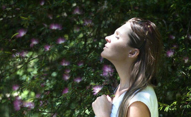 A woman enjoying a serene moment in a sunlit garden, surrounded by vibrant flowers.