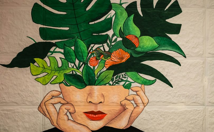 green and red flower painting Photo by Ashkan Forouzani